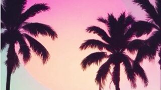 Beach Paradise oficial Music