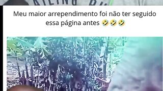 Bizarre News #BizarreNews #Viral 238