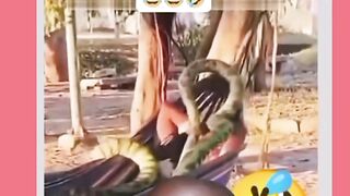 Bizarre News #BizarreNews #Viral 260