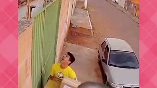 Bizarre News #BizarreNews #Viral 268