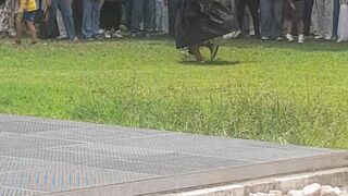 Festa colombiana em Lisboa