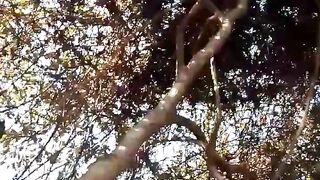Natureza 15