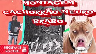 Montagem cachorrão