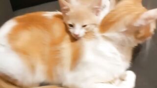 Mãe e filho 2