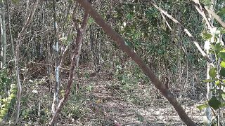 Natureza 16