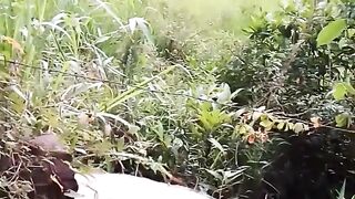 Natureza 18