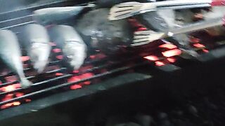 Ikanvakar yang sedang mantap