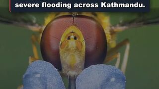 KATHMANDU FLOOD ALERT