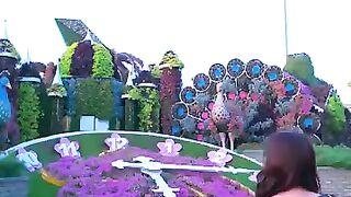 One garden, endless wonders