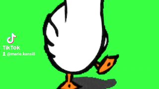 Canard 3