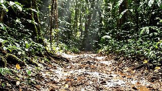 The Mysterious Cabin – Wilderness Survival