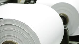 How Is Paper Made From Trees? The Amazing Paper Making Process