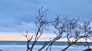 Nature-silent video
