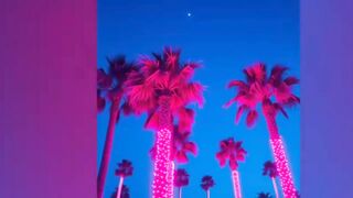 Summer Nights 2 Oficial Music