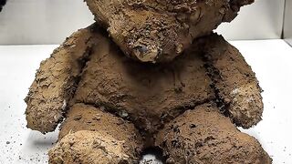 ASMR cleaning of an extremely dirty teddy bear / 엄청나게 더러운 테디베어 ASMR 세척