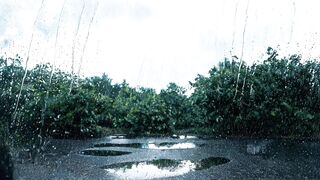 Narrativas - When It Rains Within - Os Dias de Chuva