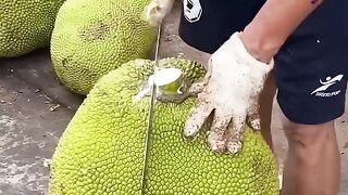 ​Huge Jackfruit Cutting Skill! Giant Sweet Yellow Fruit Unboxing