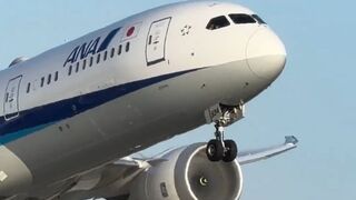 ANA Boeing 787 beautiful dreamliner takeoff