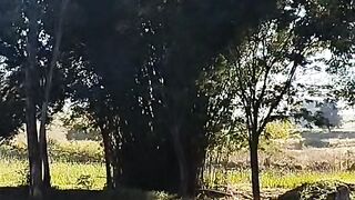 Ao meu lugar de paz