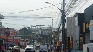 O trânsito de laranjeiras caieiras