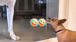 Funny