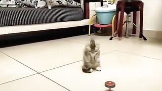 dont touch that