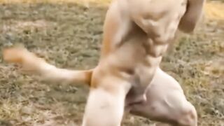 🐶😂 Quando o cão encontra o gato… o medo fala mais alto!