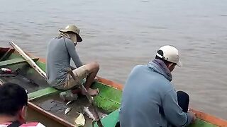 Tratamento no peixe