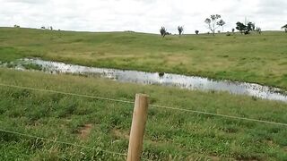 Que lugar lindo