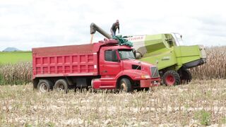Corn harvester in action 3