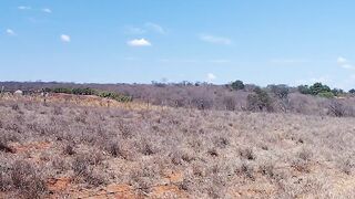 The countryside is very hot.