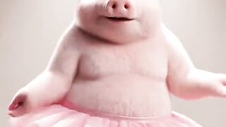 funny videos 472