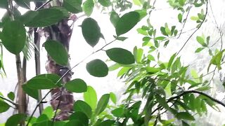 শীতের সময়কার ভিডিও, মনে কি পড়ে সেই দিনের কথা।