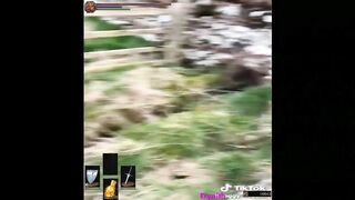 If you could tame things in dark souls.