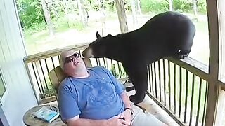 Bizarre News #BizarreNews #Viral 333