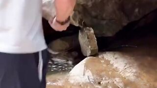 Bizarre News #BizarreNews #Viral 335