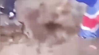 Bizarre News #BizarreNews #Viral 342