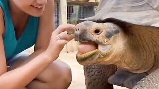 Bizarre News #BizarreNews #Viral 343