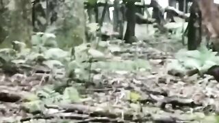 Bizarre News #BizarreNews #Viral 349