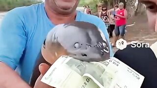 Bizarre News #BizarreNews #Viral 350