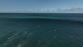 Surf Life 2