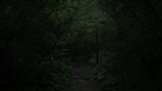 The best stress reliever recognized worldwide, healing rain.