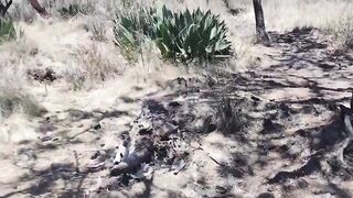 😕Cuevas del Volcán XITLE : ¿son seguras? me atreví a explorarlas😭