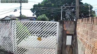 Security Camera Footage | Real-Time Surveillance