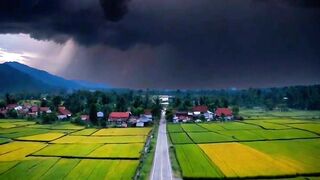 Village 41