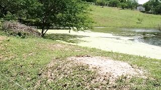 Natureza 20