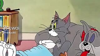 Cães e gato