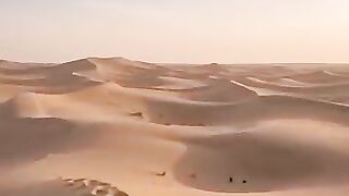 اسلامک اقوالِ زریں اور نصائح 3