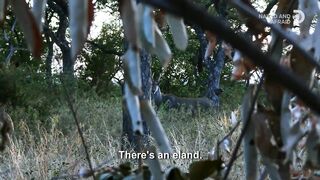 Foraging and Hunting for Food to Survive | Naked and Afraid | Discovery
