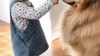 funny babies and pets